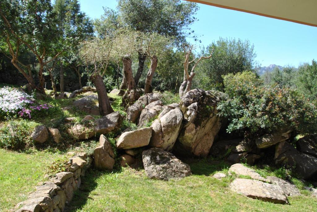 פורטו רוטונדו Sa Jaga Brujada Residence - Simar Vacanze מראה חיצוני תמונה